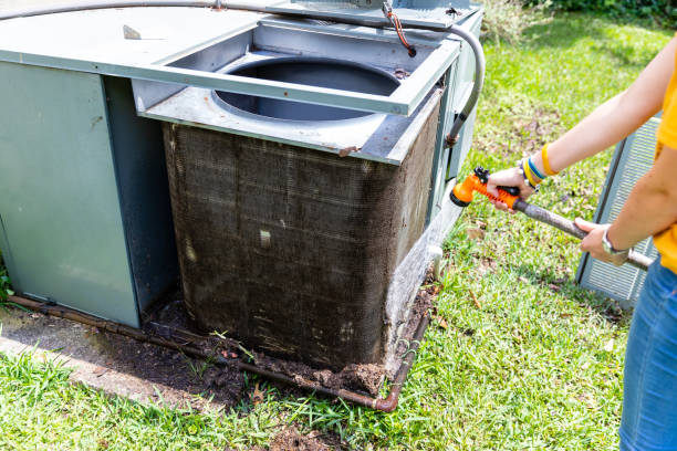 Best Air Duct Mold Removal  in Toluca, IL