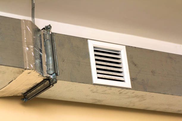 Best HVAC Duct Inspection Services  in Toluca, IL